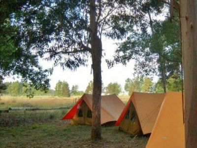 Camping Sites Autocamping Marisol