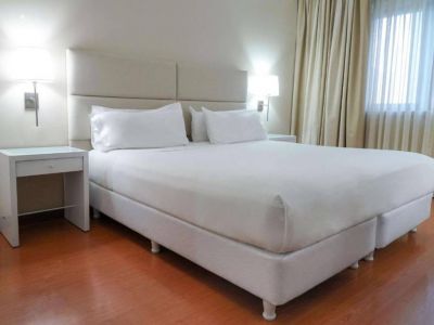 Hoteles NH Mendoza Cordillera