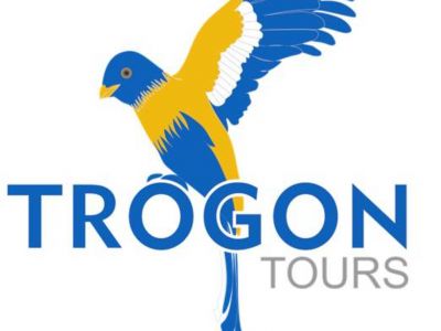Trogon Tours