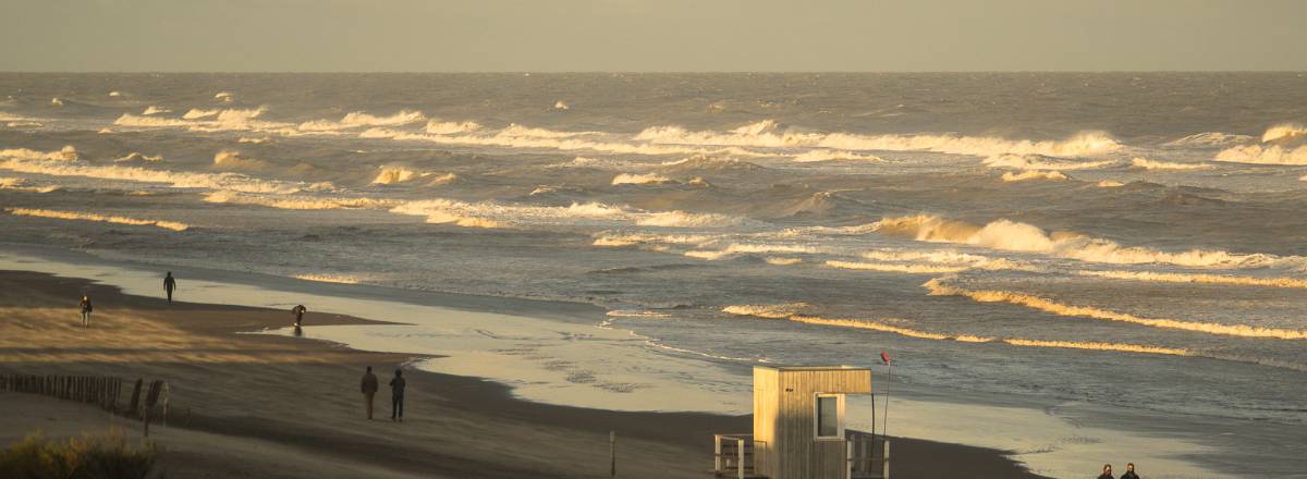 Departamentos Tartaruga