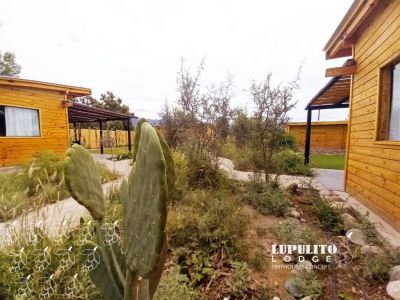 Cabañas Lupulito Lodge