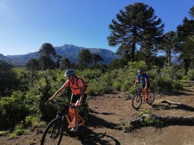 Tu Aventura Mountain Bike