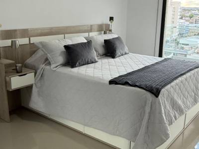 Departamento Portal Patagonico