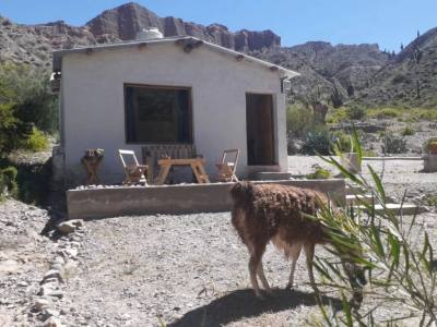Eco Ranchos y dormir con llamas
