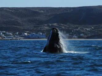 Restaurants Ribera Marina
