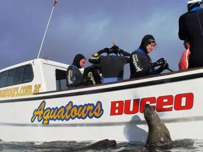Aquatours Buceo Diving  in  Puerto Madryn