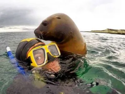 Madryn Buceo Buceo  en  Puerto Madryn