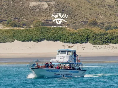 Avistajes Bottazzi Avistaje de Ballenas