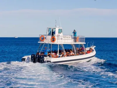 Avistajes Bottazzi Avistaje de Ballenas