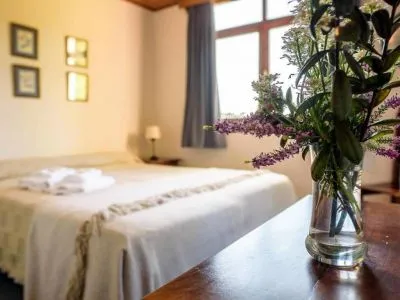 Hoteles Hotel Angostura