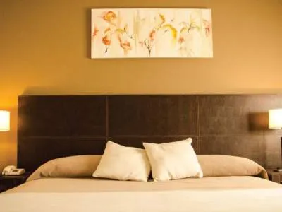 Hoteles 3 estrellas Gran Hotel Premier