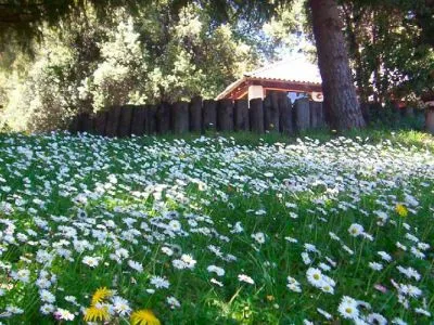 Osa Mayor Fully-equipped Camping Sites  in  Villa La Angostura