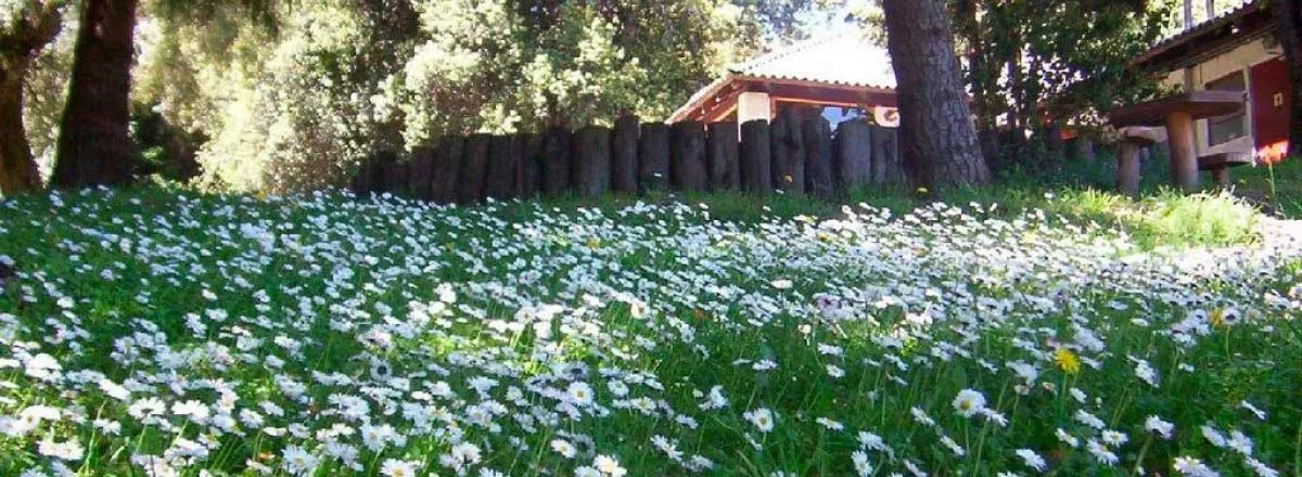 Fully-equipped Camping Sites Osa Mayor