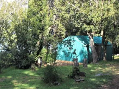 Cabins Cabins Costa Traful