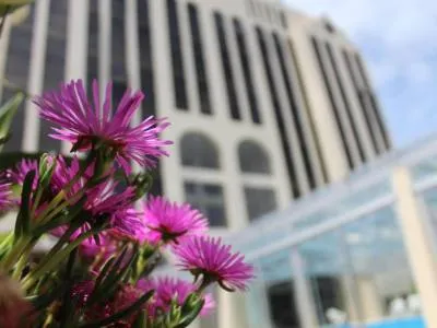 Hoteles 4 estrellas South Beach Hotel