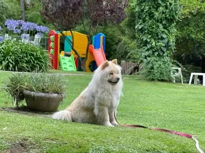 Apart Hotels Posada del Bosque