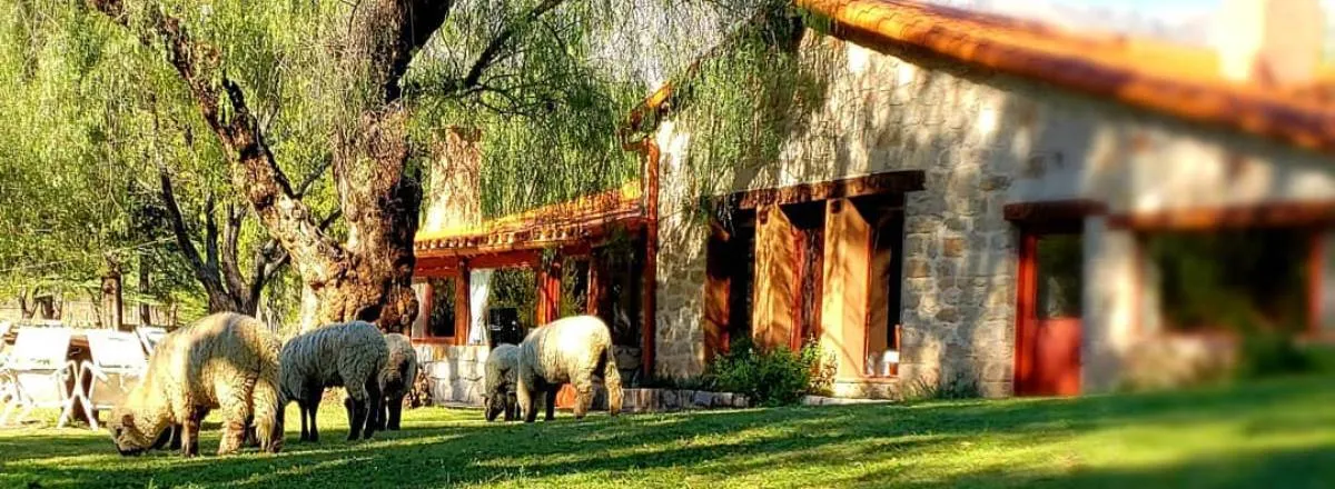 Alojamiento en Estancias La Lejanía