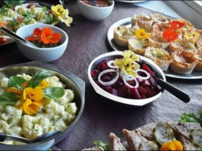 Hoteles Villa Los Altos