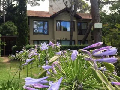 3-star Cabins Bethania Cabins