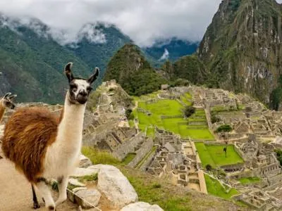 Agencias de viajes y turismo Horus Turismo