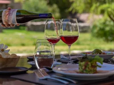 Hoteles Hotel El Manantial del Silencio