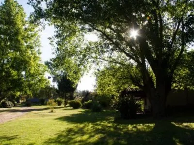 1-star Cabins Las Dinas