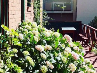 Hostelries Martins Inn