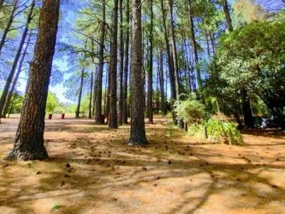 Campings Organizados Ñandubaysal