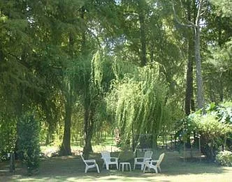 Hoteles Boutique Bosque de Bohemia