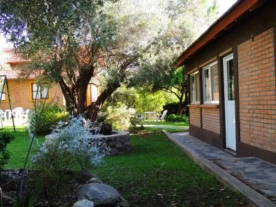 Temporary rental Monteolivos