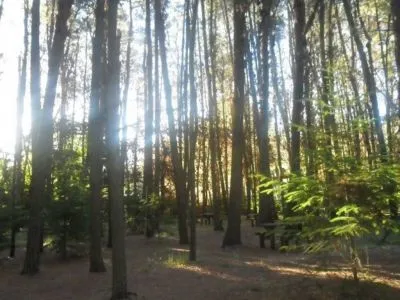 Fully-equipped Camping Sites La Chacra