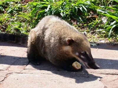 Travel and Tourist Agency Turismo Dick