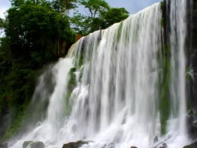 Travel and Tourist Agency Turismo Dick