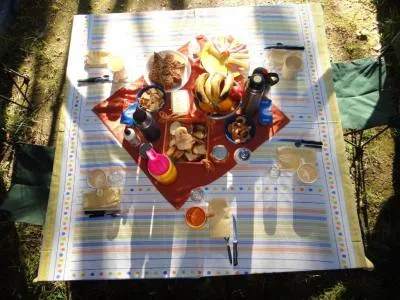 Salidas de Pesca Patagonian Fly Fishing