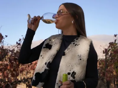 Wine Makers Bodega Vasija Secreta