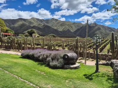Bodegas Bodega San Pedro de Yacochuya