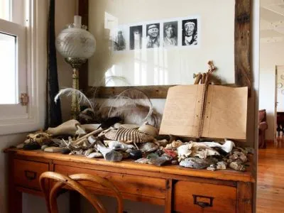 Hostelries Rincón Chico - Observación de fauna