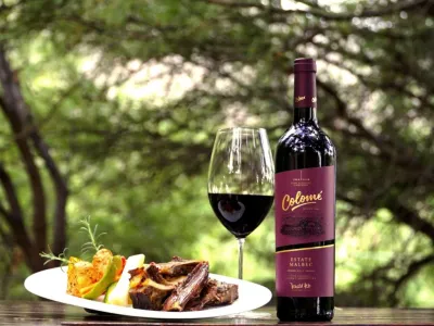 Wine Makers Bodegas y Estancia Colomé