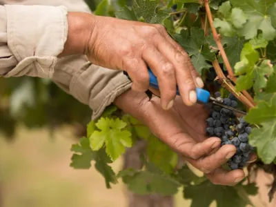 Wine Makers Bodegas y Estancia Colomé