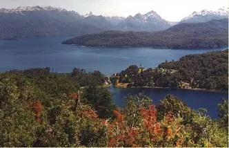 Cabañas 1 estrella Del Árbol