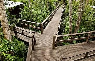 Lodges La Becasina Delta Lodge