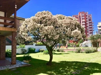 Apartments Sildan Departamentos