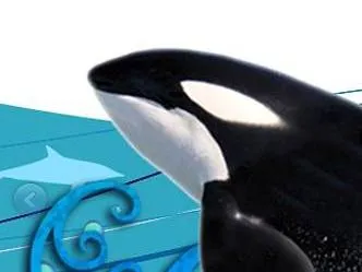 Oceanario Mundo Marino Parques Temáticos  en  San Clemente del Tuyú