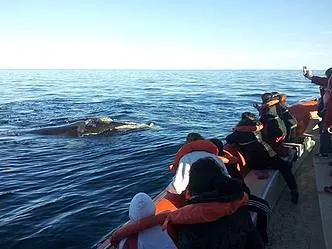 Peke Sosa Avistajes Avistajes  en  Puerto Pirámides