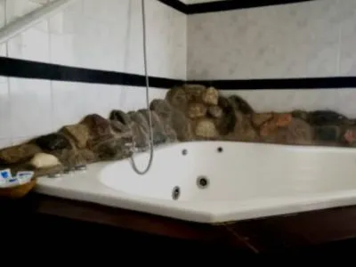 3-star Hotels Virginia Palace Hotel & Spa