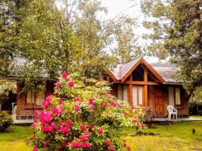 Viejo Vado Cabins  in  El Bolsón