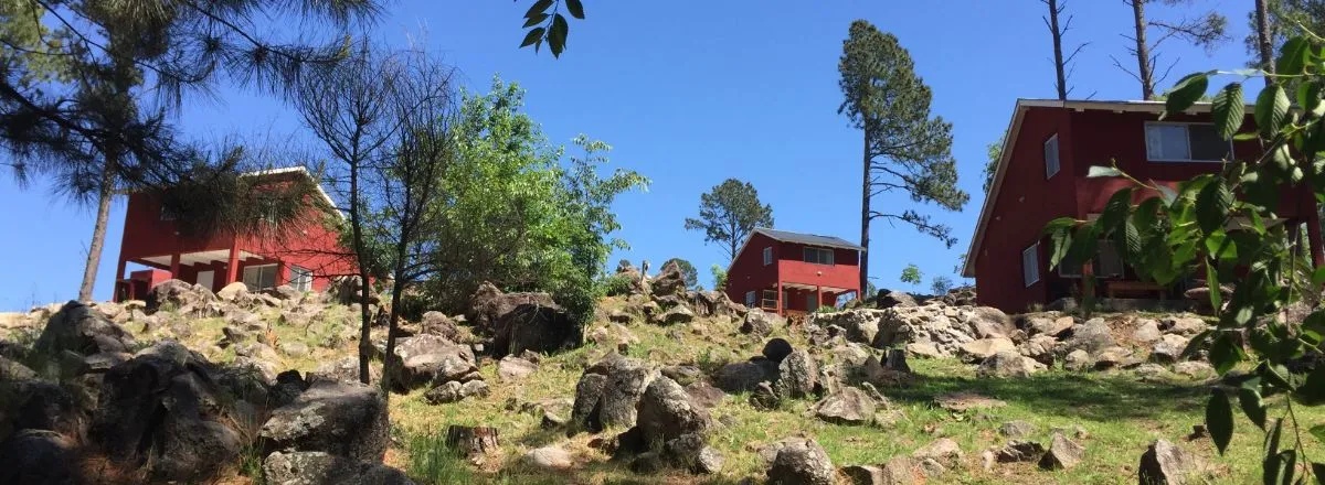 Cabins Tannenwald cabins and camp