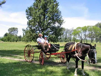 Alojamiento en Estancias La Enriqueta 