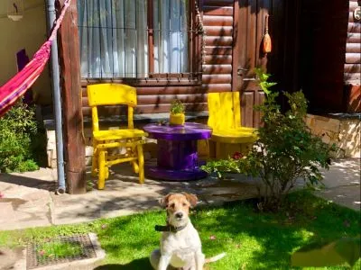 Cabañas La Constancia