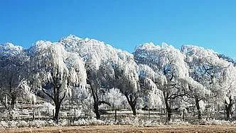 Alojamiento en Estancias Las Carreras